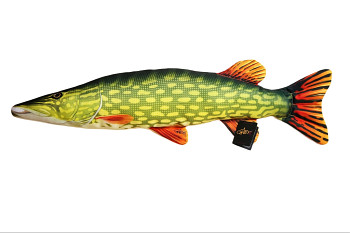 Štika obecná - 80 cm polštář