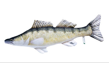 Candát obecný - 75 cm polštář