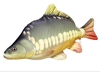Kapr lysec - 61 cm polštář