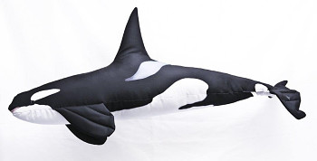 Kosatka dravá Giant - 118 cm polštář