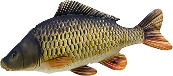 Kapr šupináč  mini - 36 cm polštářek