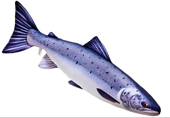 Losos obecný - 90 cm polštář