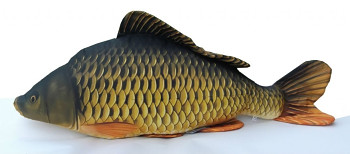 Kapr šupináč monster - 160 cm polštář