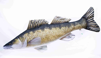 Candát Giant - 110 cm polštář