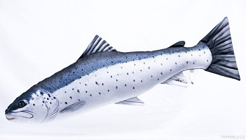 Pstruh mořský Giant - 110 cm polštář