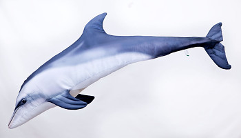 Delfín skákavý - 125 cm polštář