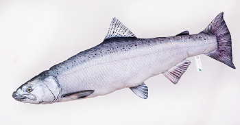 Losos stříbrný (čavyca) - 90 cm polštářek 