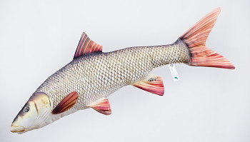 Parma obecná - 80 cm polštář