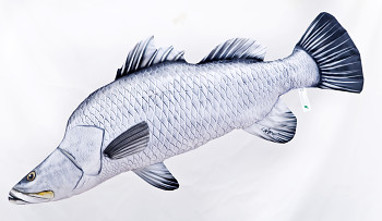 Okoun Barramundi - Giant 96 cm polštář