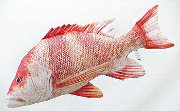 Chňapal císařský - 80 cm polštář