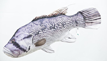 Perlovec pobřežní - 80 cm polštář
