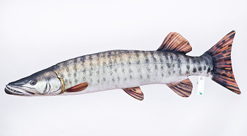 Štika muskalunga (americká)  - 200 cm polštář